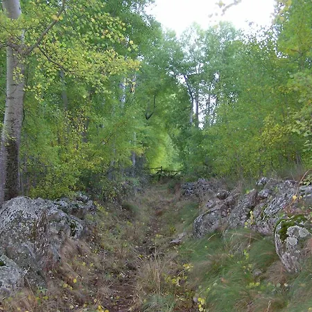 El Cerrillo 1 * San Martín del Pimpollar