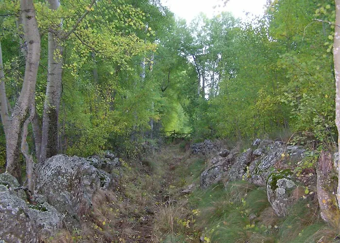 El Cerrillo 1 * 산마틴델핌폴라